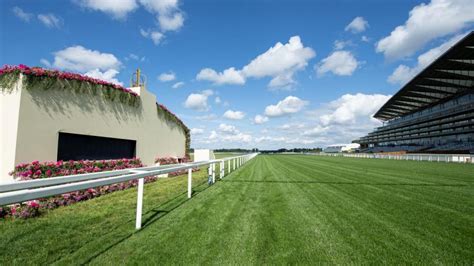 king george tips|King George tips: Timeform's expert verdict .